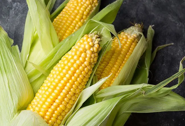Benefits of Corn: Why This Golden Grain Is Great for Your Health