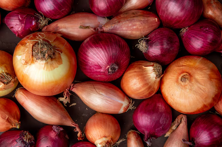 Benefits of Onion: Nutrition, Uses, and Health Benefits